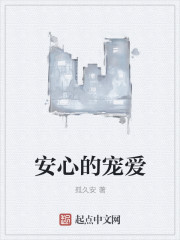 安心的宠爱